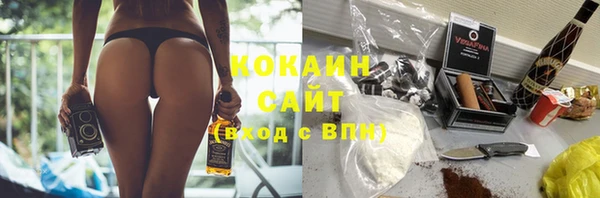 сатива Алзамай