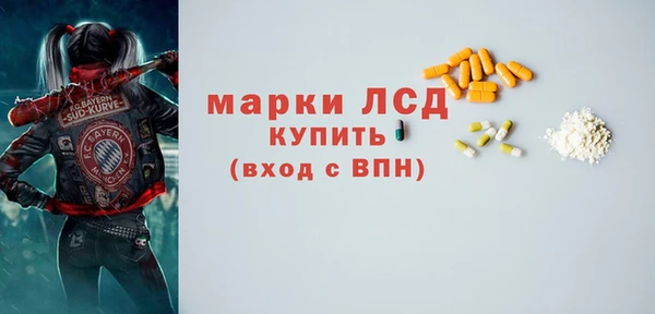 шишки Абаза