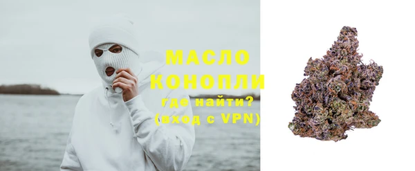 сатива Алзамай