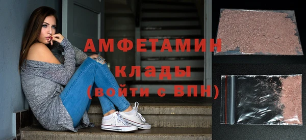 шишки Абаза