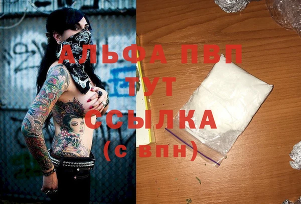 сатива Алзамай